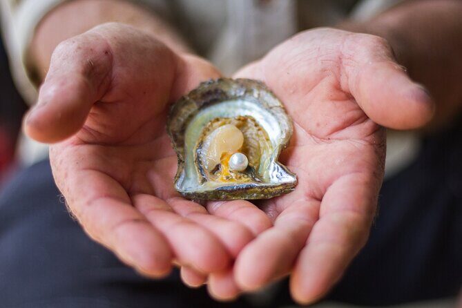 Broken Bay Pearl & Oyster Farm Tours - Practical Details and Considerations