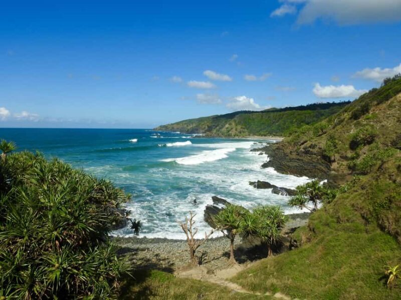 Broken Head: Nature Reserve Guided Eco-Tour with Beach Visit - Who Will Love This Tour?