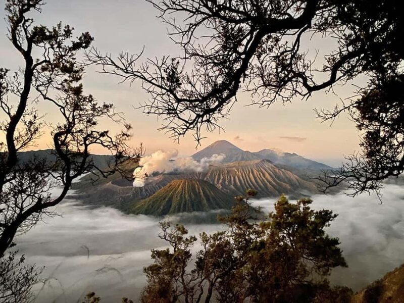 Bromo Sunrise Jeep Tour Included Shuttle From Malang - Introduction to the Bromo Sunrise Jeep Tour