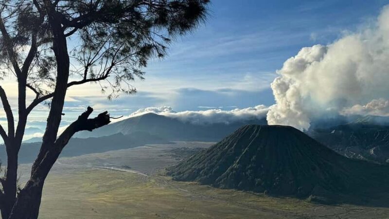 Bromo sunrise tour from Surabaya, Malang, or Probolinggo - The Journey Begins: Picking Up and Starting the Adventure