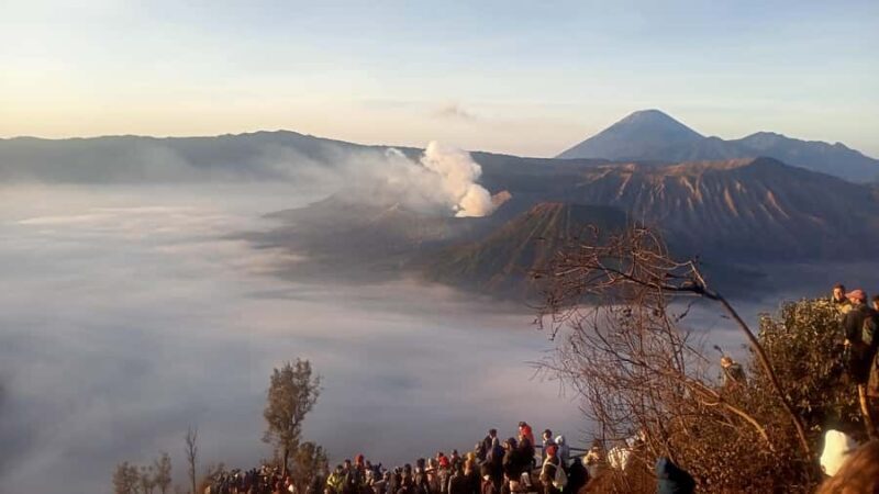 Bromo Tour Volcano & Colorful Village Tour - Practical Details & Tips
