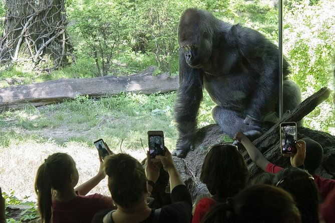 bronx-zoo-admission-ticket-2