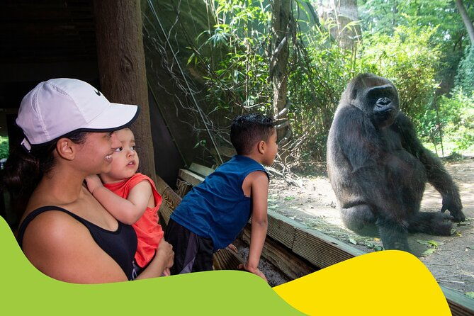 bronx-zoo-admission-ticket-2