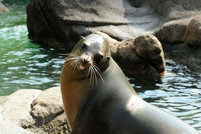 bronx-zoo-admission-ticket-2