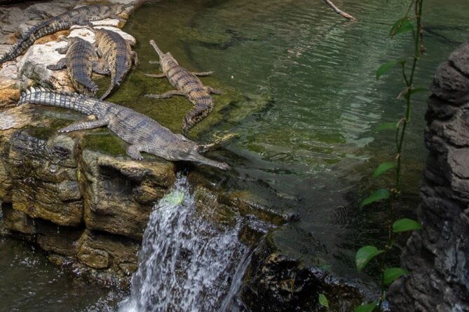 bronx-zoo-admission-ticket-2