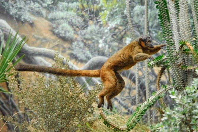 bronx-zoo-admission-ticket-2
