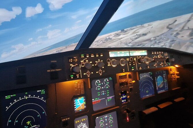 bronze-fly-experience