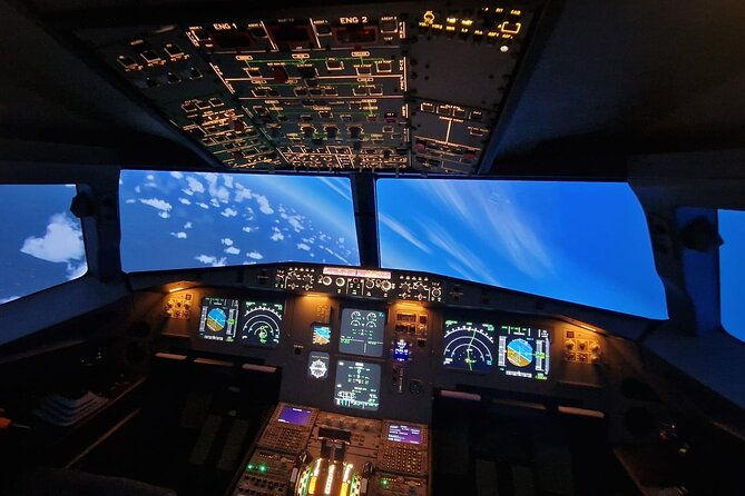 bronze-fly-experience