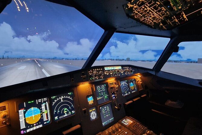 bronze-fly-experience