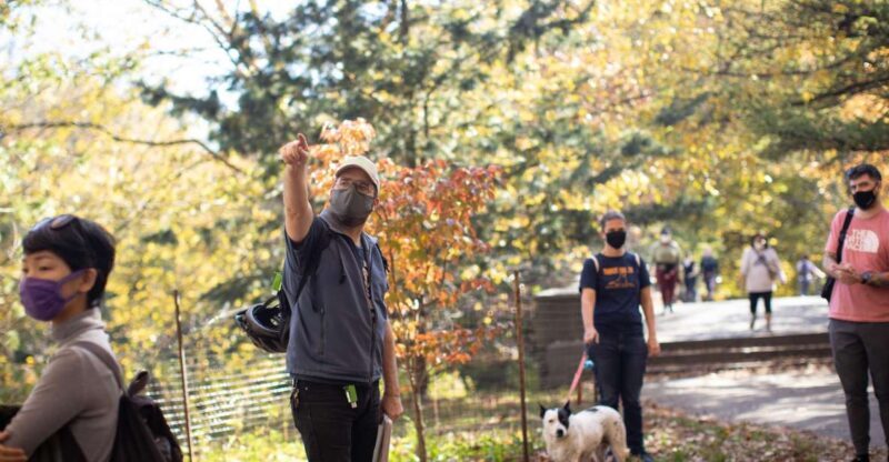 Brooklyn: 2-Hour Prospect Park Guided Walking Tour - Discovering Prospect Park: Why This Tour Is Special