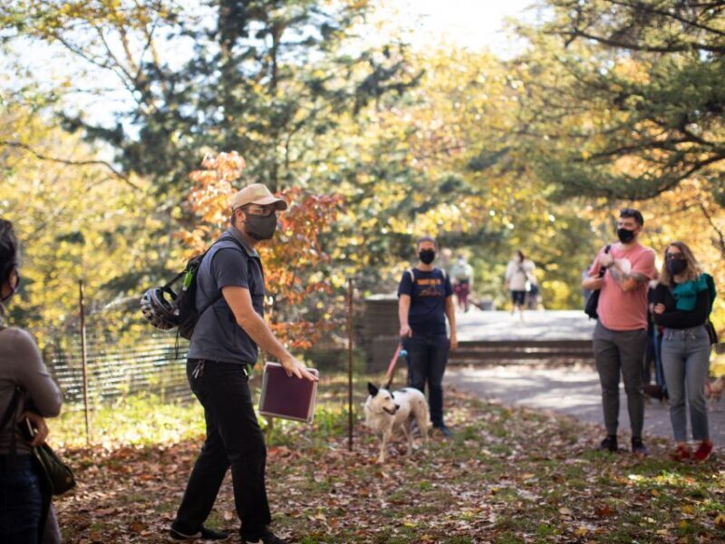 Brooklyn: 2-Hour Prospect Park Guided Walking Tour - Authentic Feedback from Past Participants