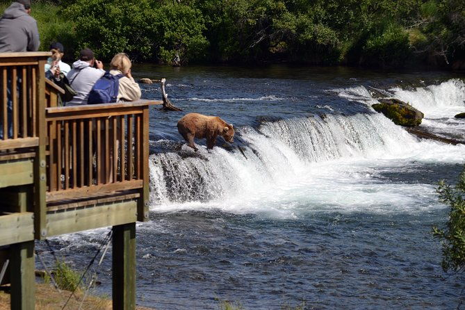 brooks-falls-katmai-bear-viewing-in-a-float-plane-2