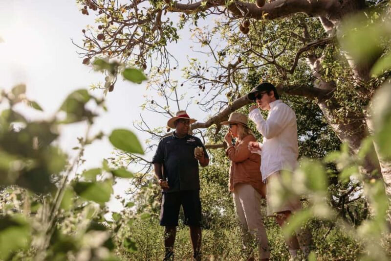 Broome: Cable Beach Indigenous Walking Tour - Key Points