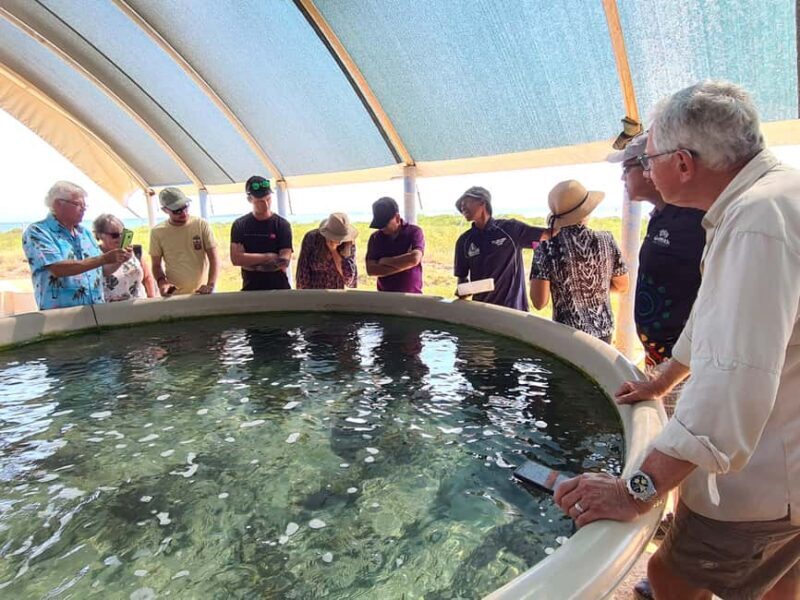 Broome: Dampier Peninsula Tour with Return Flight Option - An In-Depth Look at the Dampier Peninsula Tour