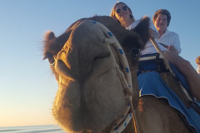 Broome Pre-sunset Camel Tour 30 minutes - An in-depth look at the experience