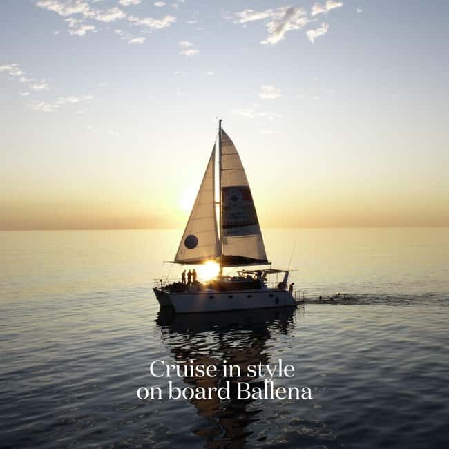 Broome's Iconic Catamaran Sunset Cruise - Final Thoughts