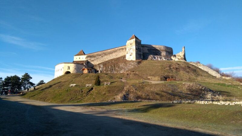 brown-bear-sanctuary-bran-castle-rasnov-fortress-day-tour