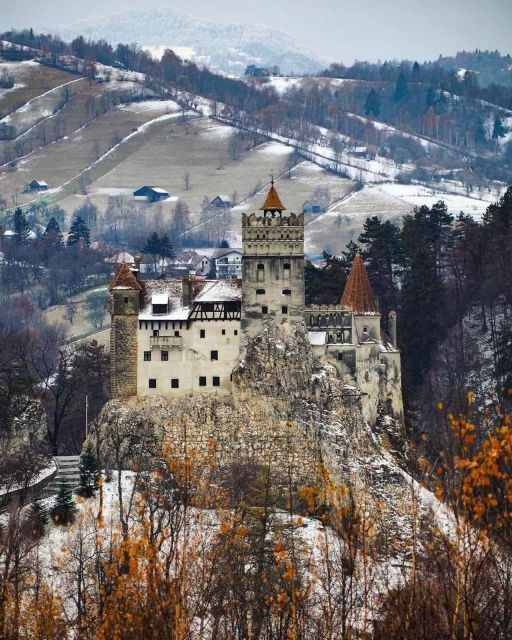 brown-bear-sanctuary-bran-castle-rasnov-fortress-day-tour