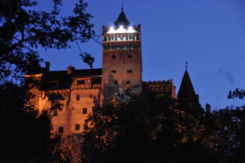 brown-bear-sanctuary-bran-castle-rasnov-fortress-day-tour