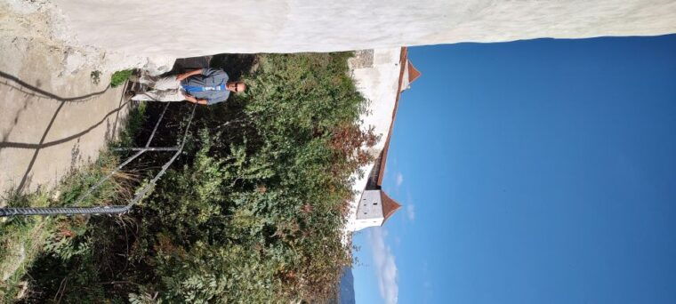 brown-bear-sanctuary-bran-castle-rasnov-fortress-day-tour
