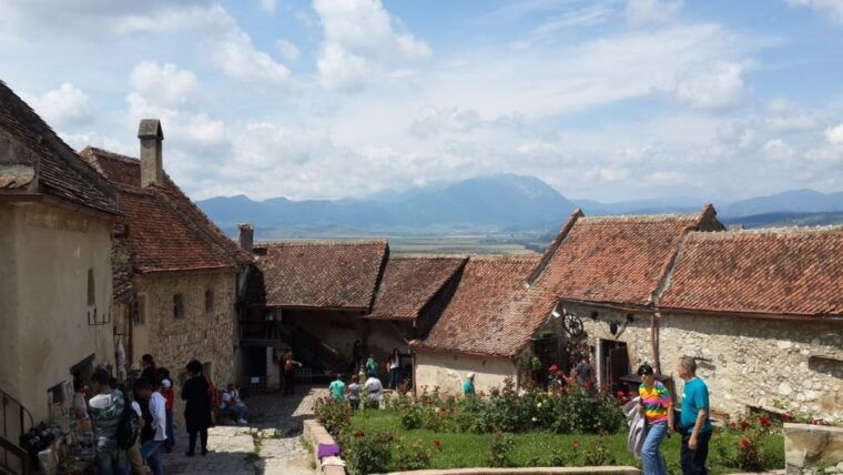 brown-bear-sanctuary-bran-castle-rasnov-fortress-day-tour