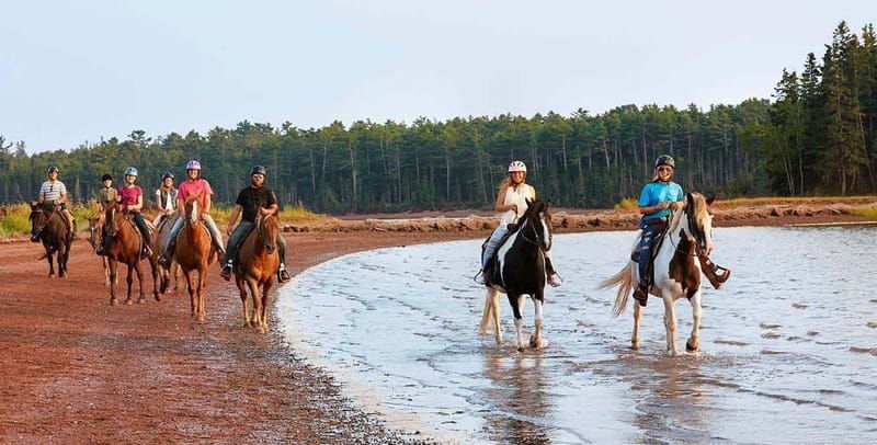 brudenell-family-friendly-horse-ride-goes-on-the-beach