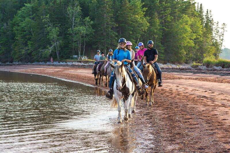 brudenell-family-friendly-horse-ride-goes-on-the-beach
