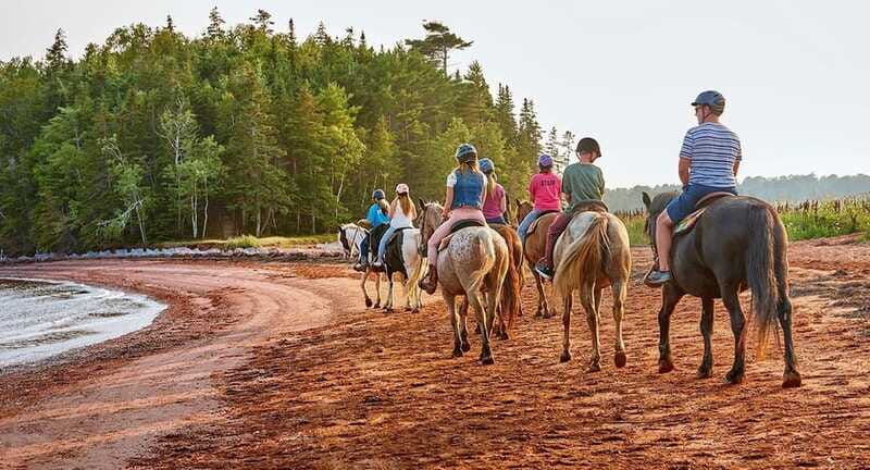 brudenell-family-friendly-horse-ride-goes-on-the-beach