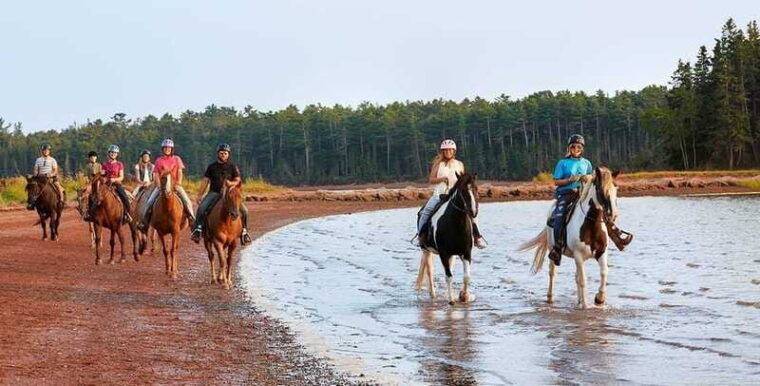 brudenell-family-friendly-horse-ride-goes-on-the-beach