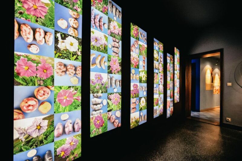 bruges-frietmuseum-entry-ticket