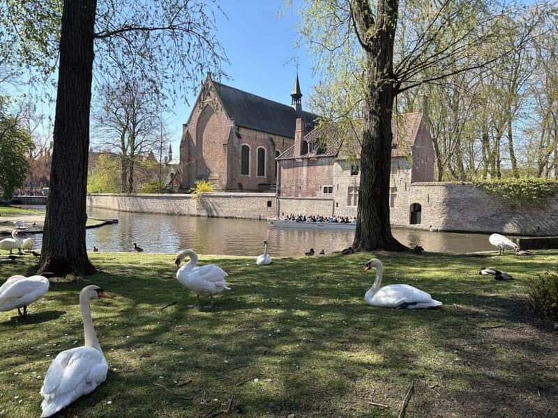 Bruges: highlights & hidden gems - private tour 2 hours - An In-Depth Look at the Tour Experience
