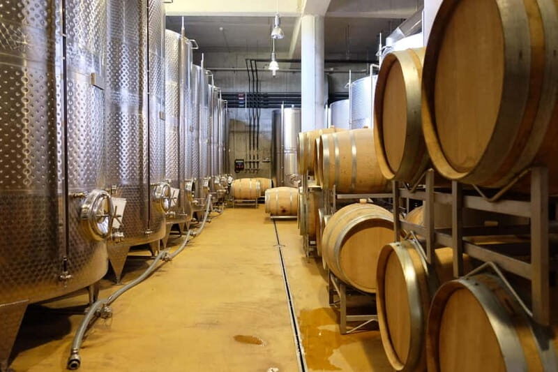 Brunch, balsamic vinegar, and wines: tour of the Emilian hills from Bologna - The Practicalities