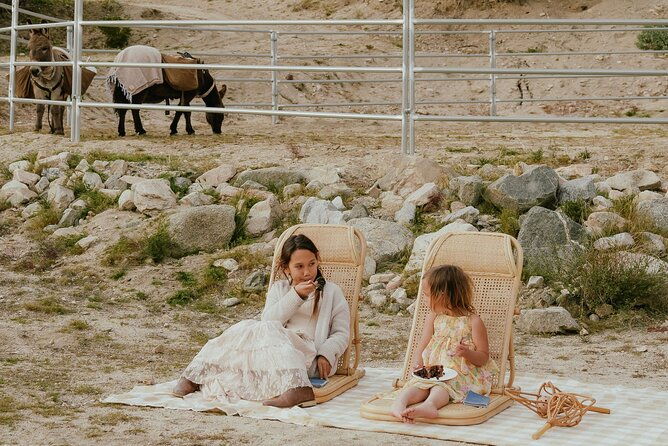 brunch-with-mini-rescue-burros-in-southern-california