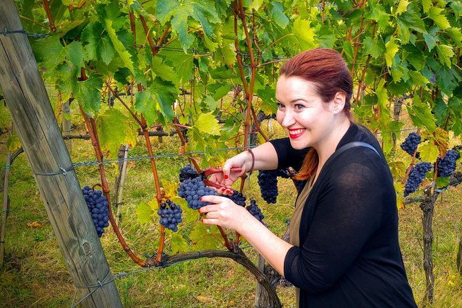 brunello-and-nobile-wine-lover-tour-montalcino-and-montepulciano