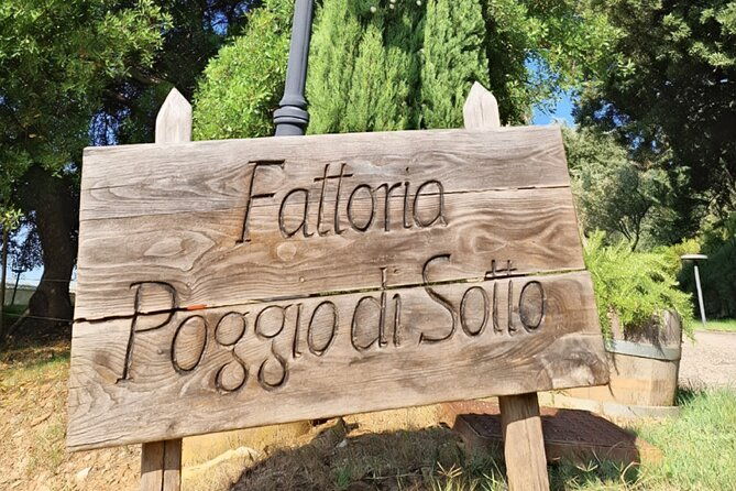 brunello-di-montalcino-2-top-wineries-full-day-limousine-service