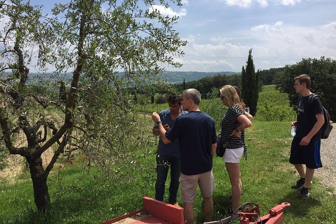 Brunello di Montalcino, small biodynamic wineries - FAQs