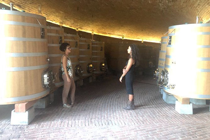 brunello-di-montalcino-wine-tour-of-2-wineries-with-pairing-lunch