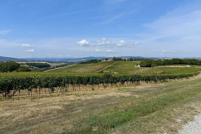 brunello-e-bike-tour-2