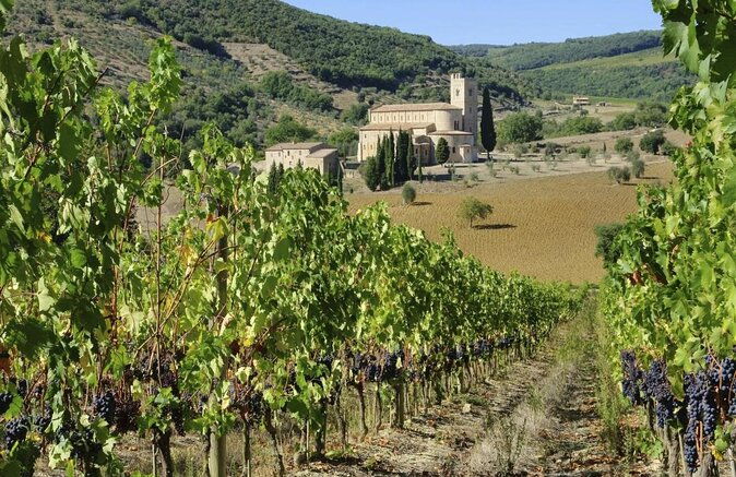 brunello-wine-tasting-from-san-gimignano