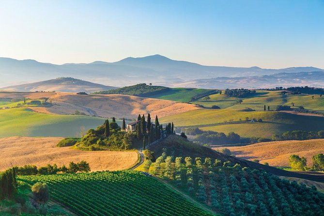 brunello-wine-tasting-from-san-gimignano