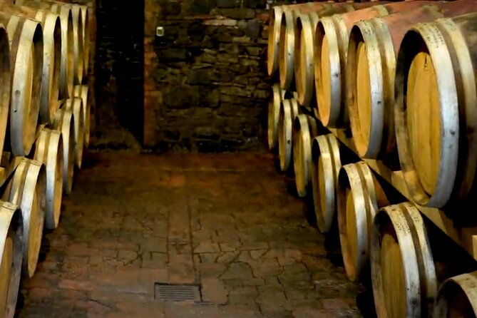 brunello-wine-tasting-from-san-gimignano
