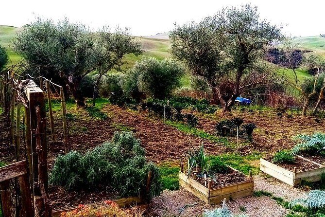 Brunello Wine Tour and Val D'Orcia Landscape - FAQ