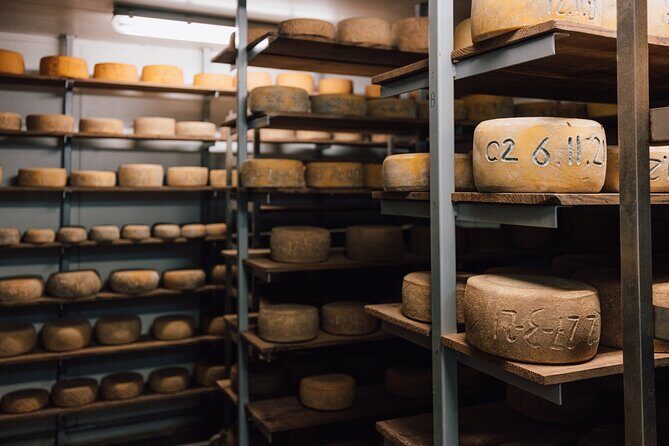 Bruny Island Day Tour Scenic Views And Local Tastings - Who Will Love This Tour?