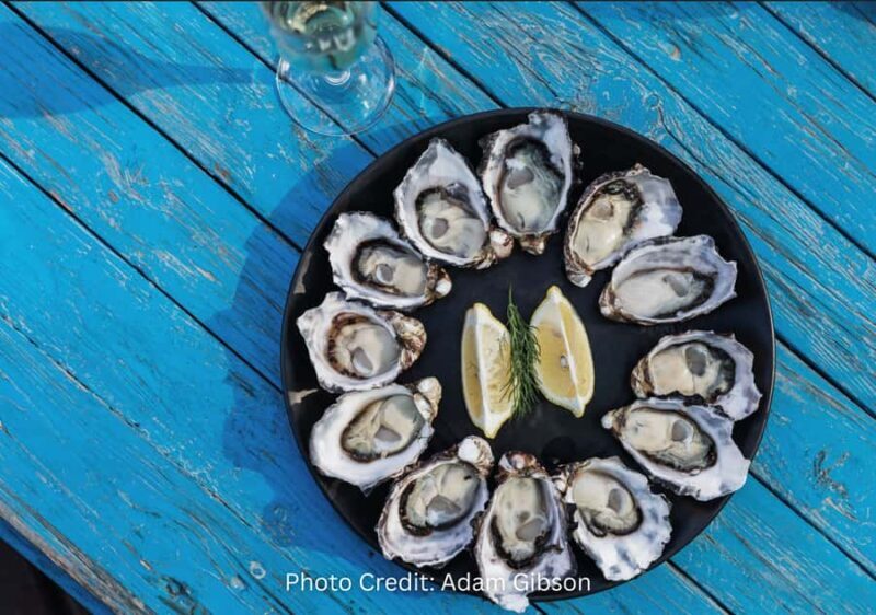 Bruny Island: Guided Sightseeing Tour (8hr Private Tour) - Why Choose This Bruny Island Tour?