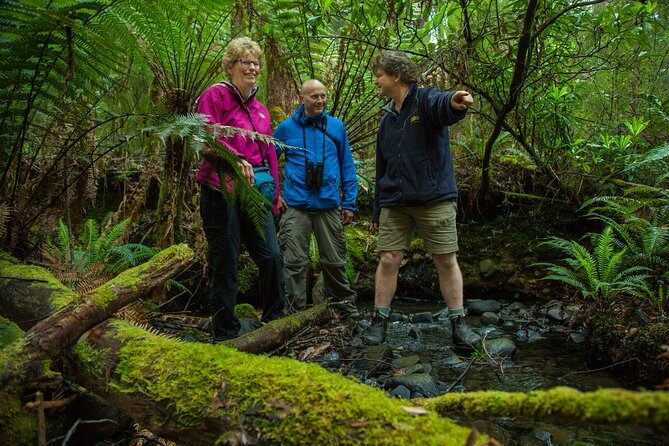 Bruny Island Traveller - Gourmet Tasting and Sightseeing Day Trip from Hobart - The Full Experience: An In-Depth Look at the Bruny Island Day Trip