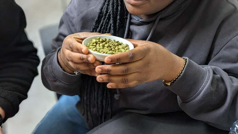 Brussels: beer tasting workshop in a micro brewery - An In-Depth Look at the Beer Tasting Workshop