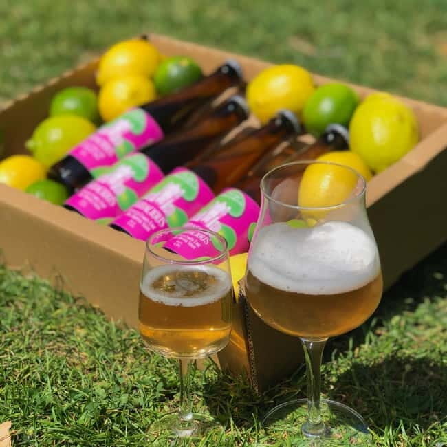 Brussels: beer tasting workshop in a micro brewery - Who Will Love This?