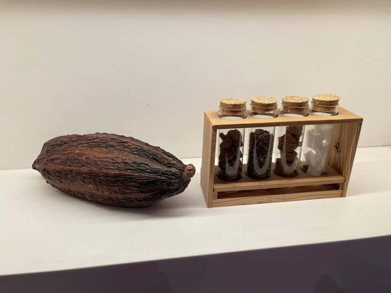 Brussels: Chocolate Appreciation and Tasting Walking Tour - An In-Depth Look at the Chocolate Tour