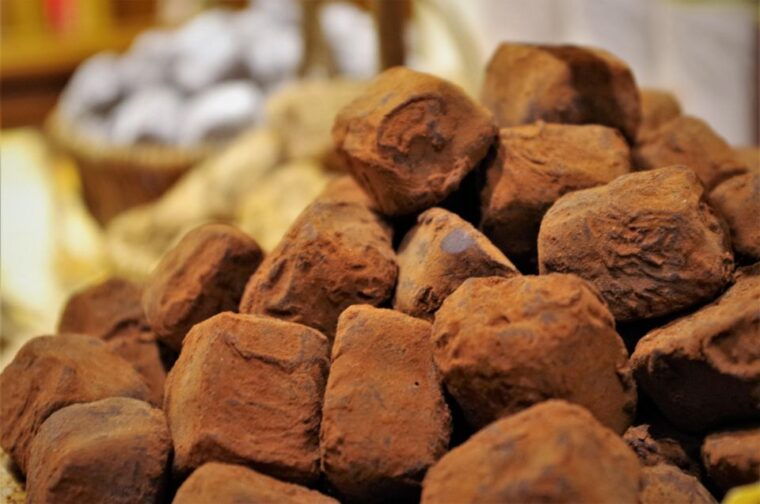 brussels-chocolate-workshop-and-guided-walking-tour