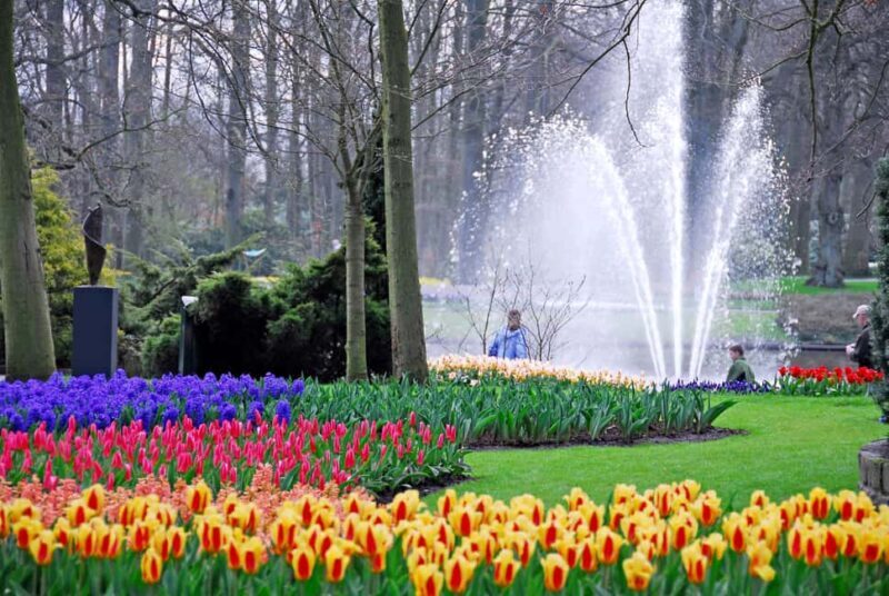 Brussels: Full Day Holland Keukenhof & Windmills Guided Tour - A Closer Look at the Tour Experience